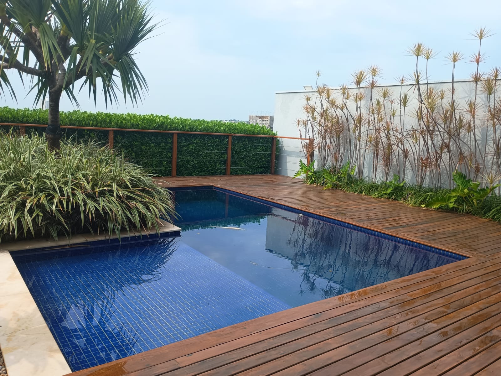 d2c06555-113a-4c1b-92d5-cf4bfe1c7647